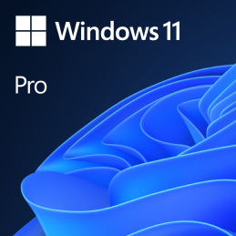 Microsoft WIN PRO 11 64BIT...